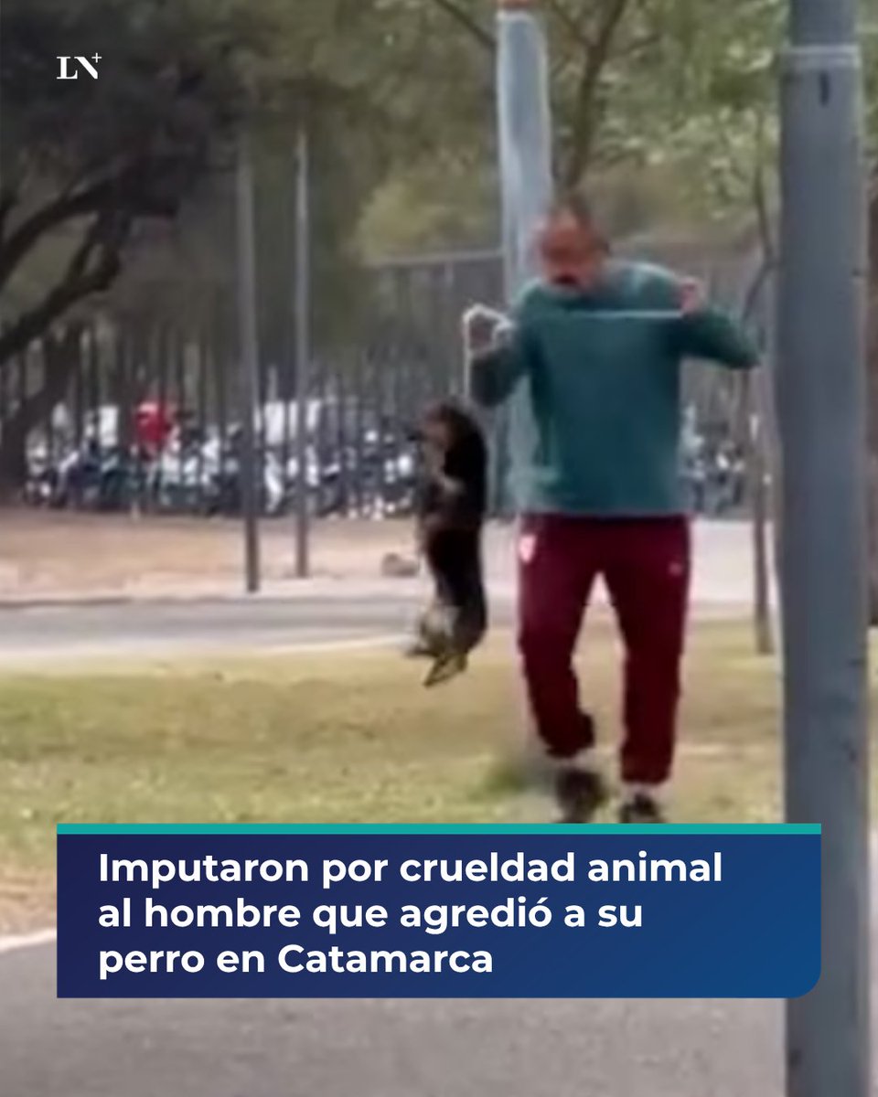 lanacionmas's tweet photo. 🔴 Catamarca: imputaron por crueldad animal al hombre que agredió a su perro en un video

Tras la viralización del video donde se observa al hombre ahorcando y pateando al perro salchicha, las autoridades le iniciaron una causa por crueldad animal y secuestraron a la mascota para ponerla a resguardo.

📌 En LN+