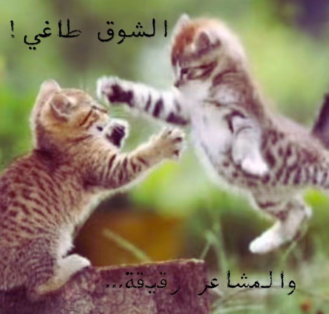 wgluvv's tweet photo. https://t.co/WfTsYPk95U