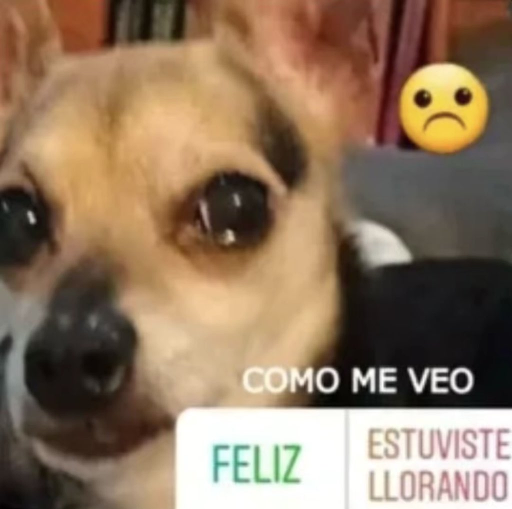 blindeclat's tweet photo. como que jeong-yo odia a kang https://t.co/UKOPcr9DnO
