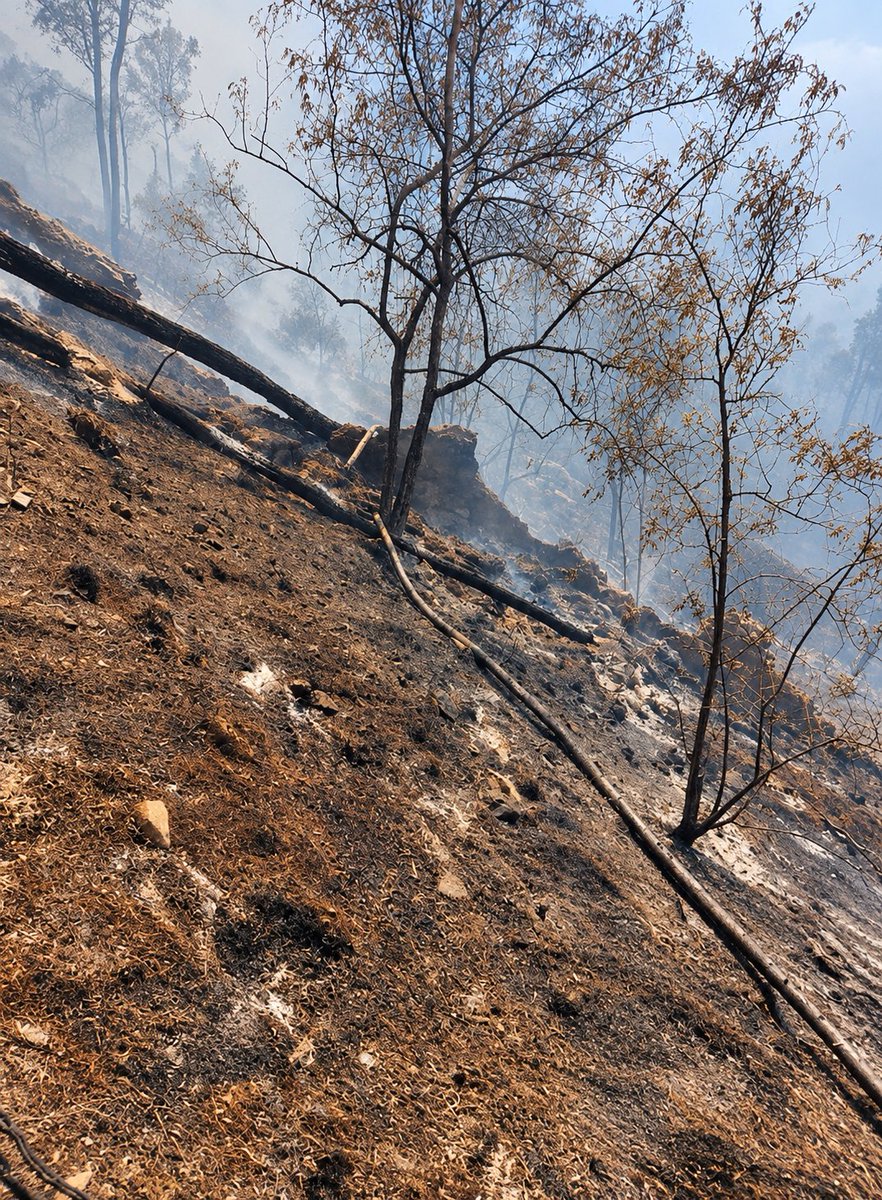 COENPeru's tweet photo. 🔥 #Lima | Pobladores realizan labores de control y extinción de un #IncendioForestal registrado hoy en el sector Huanchac, distrito de Andajes, provincia de Oyón. El incendio se encuentra activo y afecta cobertura natural. Gobierno local realiza la #EDAN. No se reportan daños a la vida y salud de las personas.