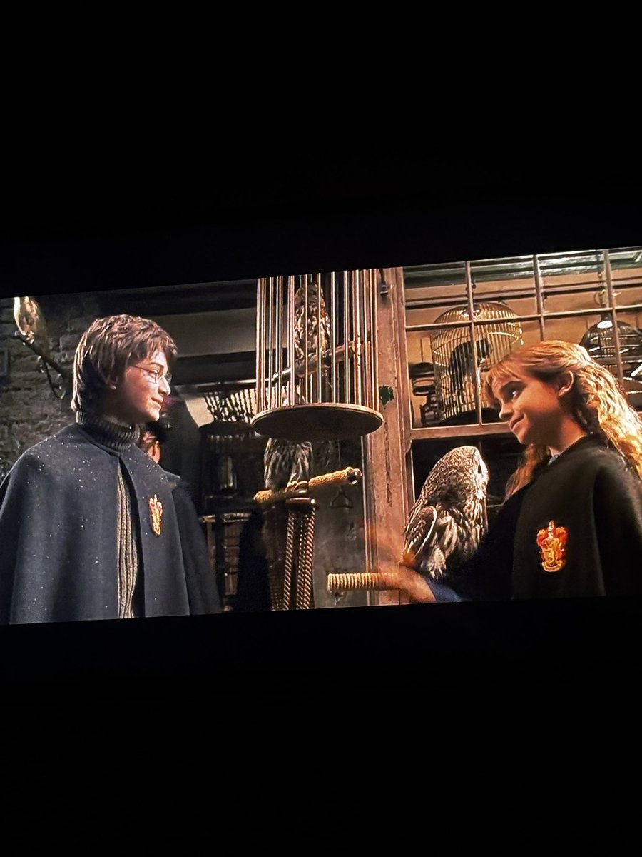 Ari_ppw's tweet photo. não canso de assistir https://t.co/8lOBXogOVt