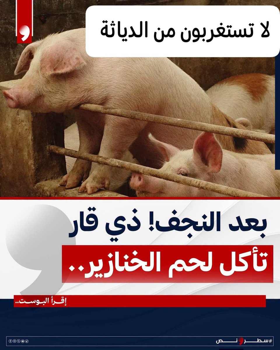aliggggggfh's tweet photo. #عاجل_الان
بعد النجف ذي قار تلحق الركب 
لاحول ولا قوة الا بالله لحوم الخنازير تسبب مرض الدياثه https://t.co/cJc0MYd0Xp