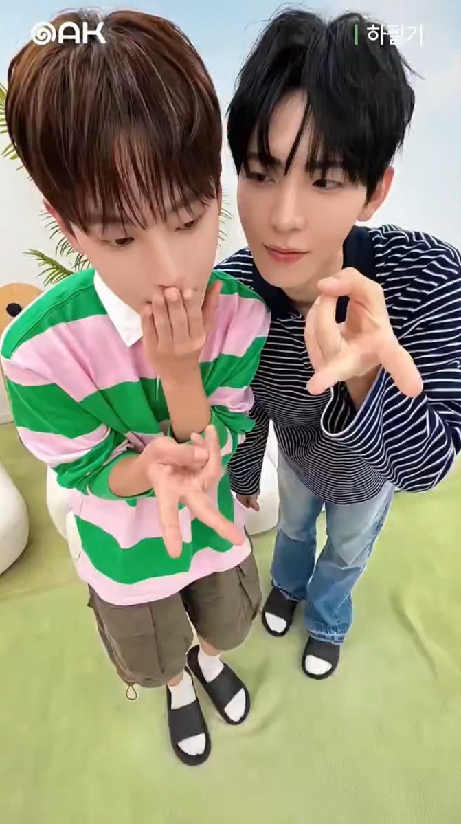 syuutiipie's tweet photo. these cutieeeeee https://t.co/DKJVMA1DFR