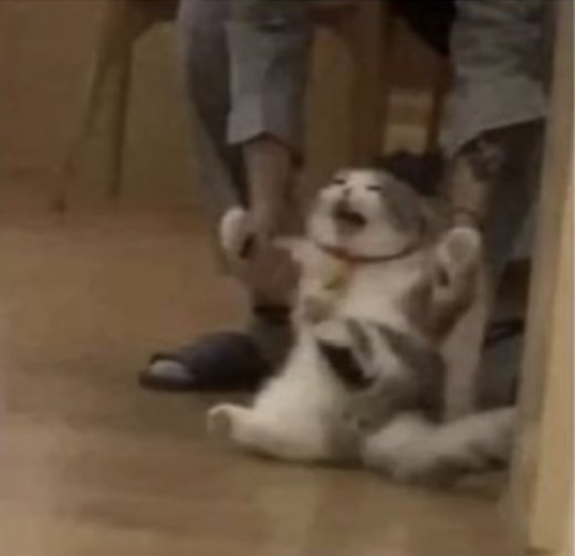 feylords's tweet photo. Me screaming and clawing trying to get away from my STEM work so I can draw post-game Dietrich https://t.co/eCb6ubHeqx