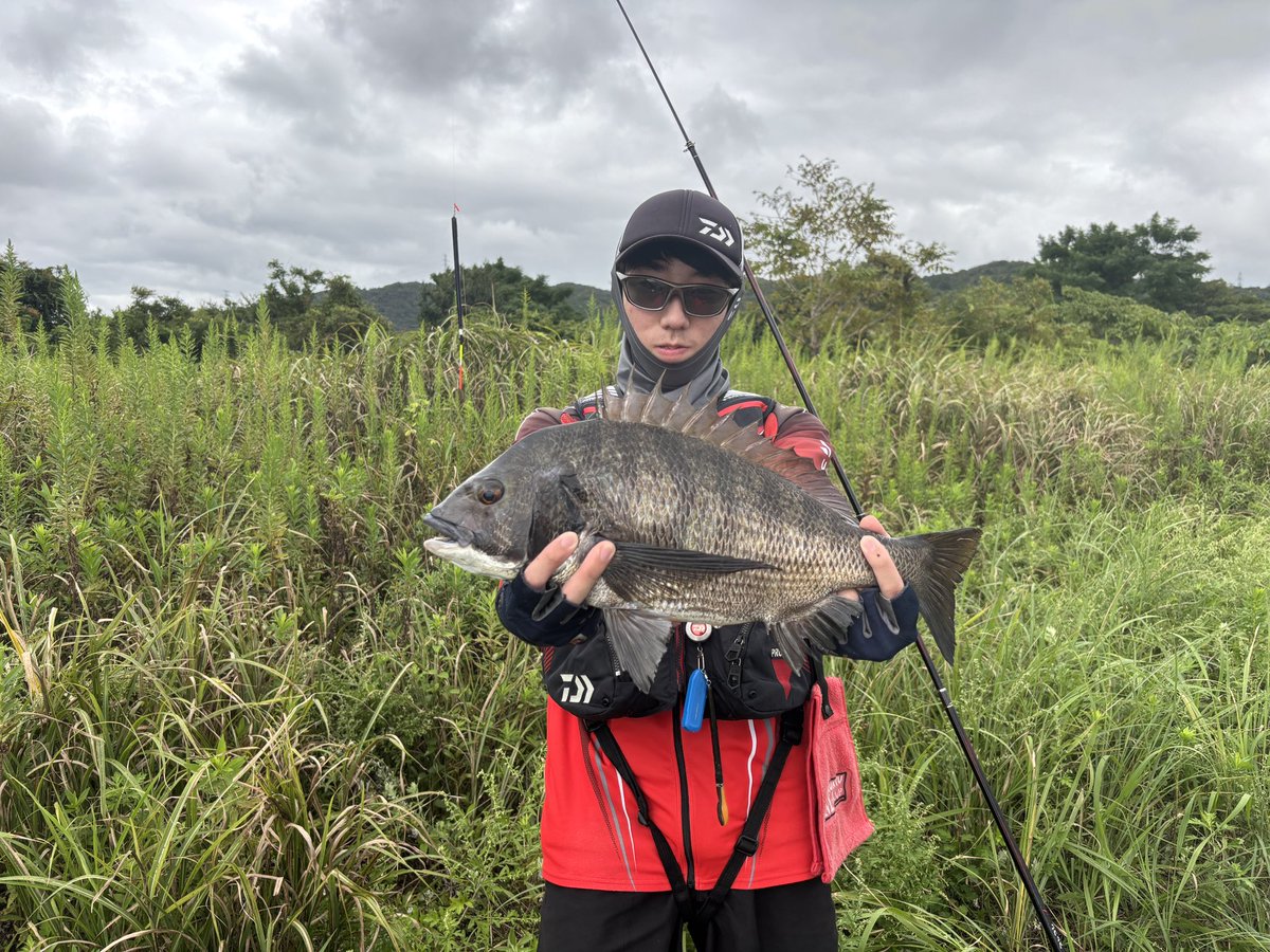 Tsurikimyo's tweet photo. 今回は島根県大橋川に出撃しました！今回も長野さんプロデュースの釣行でチヌ大爆釣でした👍お弟子さんと合わせて5枚の年なしチヌと、23枚釣れました✨ https://t.co/sakxXFbFBW