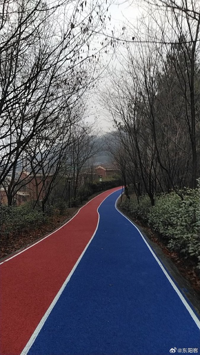 ShauntaBraswell's tweet photo. Your daily 10-minute walk is a game-changer! Boosts energy, sharpens focus, and eases stress—small steps = big health wins! https://t.co/1W2B4llXEO