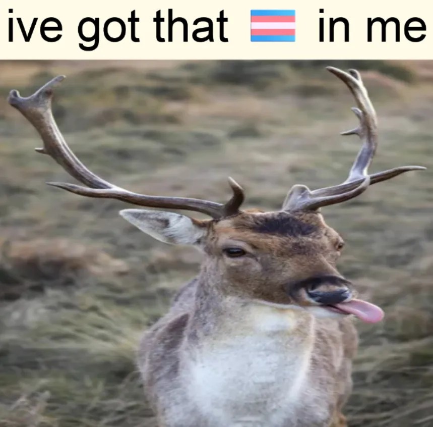 deertexting's tweet photo. https://t.co/DhVEFOCkZc