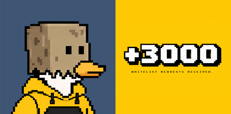 Dukznft's tweet photo. 3,000+ whitelist requests.

meanwhile @Tma_420 👀

THE DUCKS ARE COMING. 🦆 https://t.co/fJDtuBw8qB