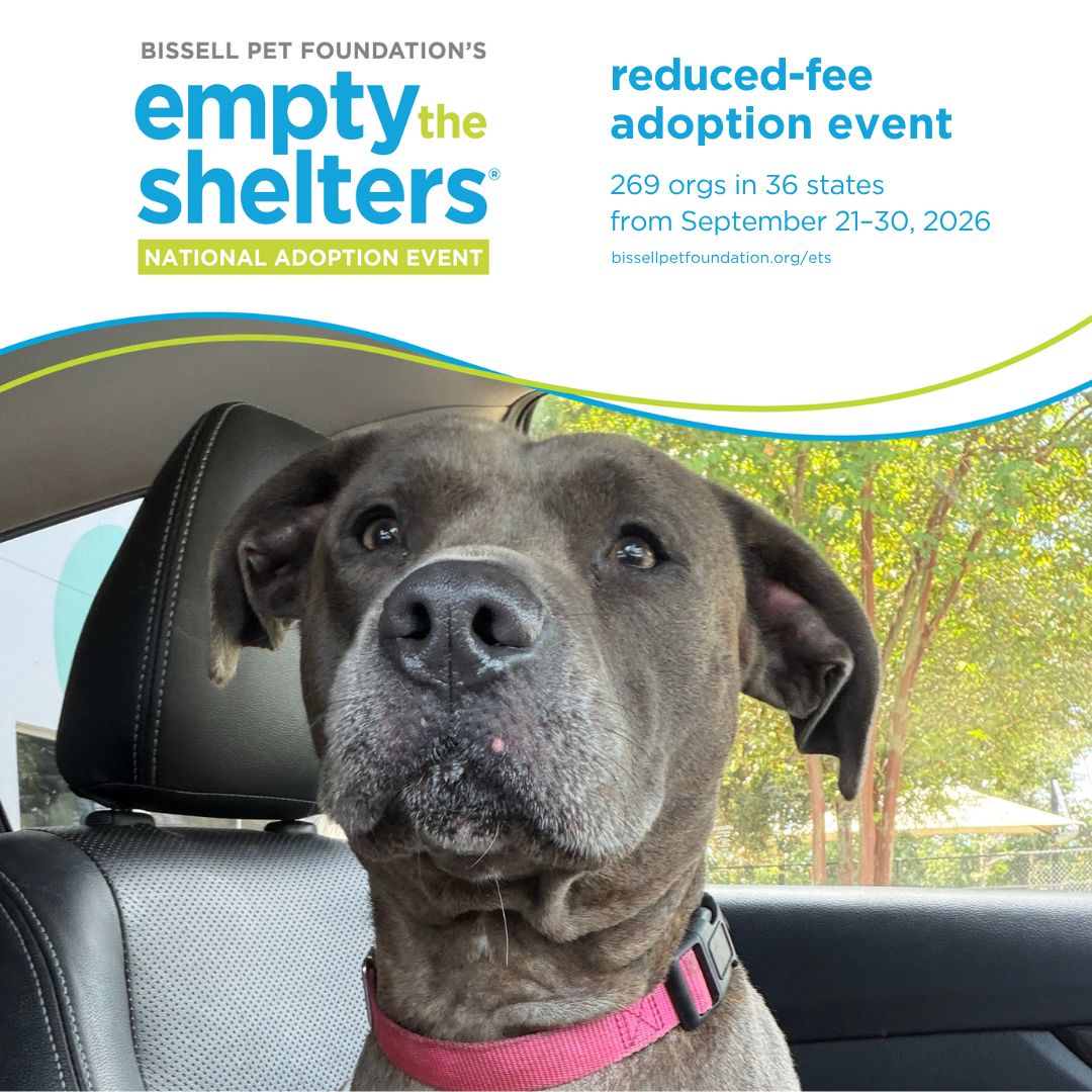 jaxhumane's tweet photo. It's that time again! Starting on Sept. 21, we're taking part in the Bissell Pet Foundation's Empty the Shelters! Thanks to Cathy Bissell and the Bissell Pet Foundation, our adoption fees will be reduced to $25! 

View available pets at https://t.co/7Nn2ZE9gmF! https://t.co/hI5FZ2Mlh4