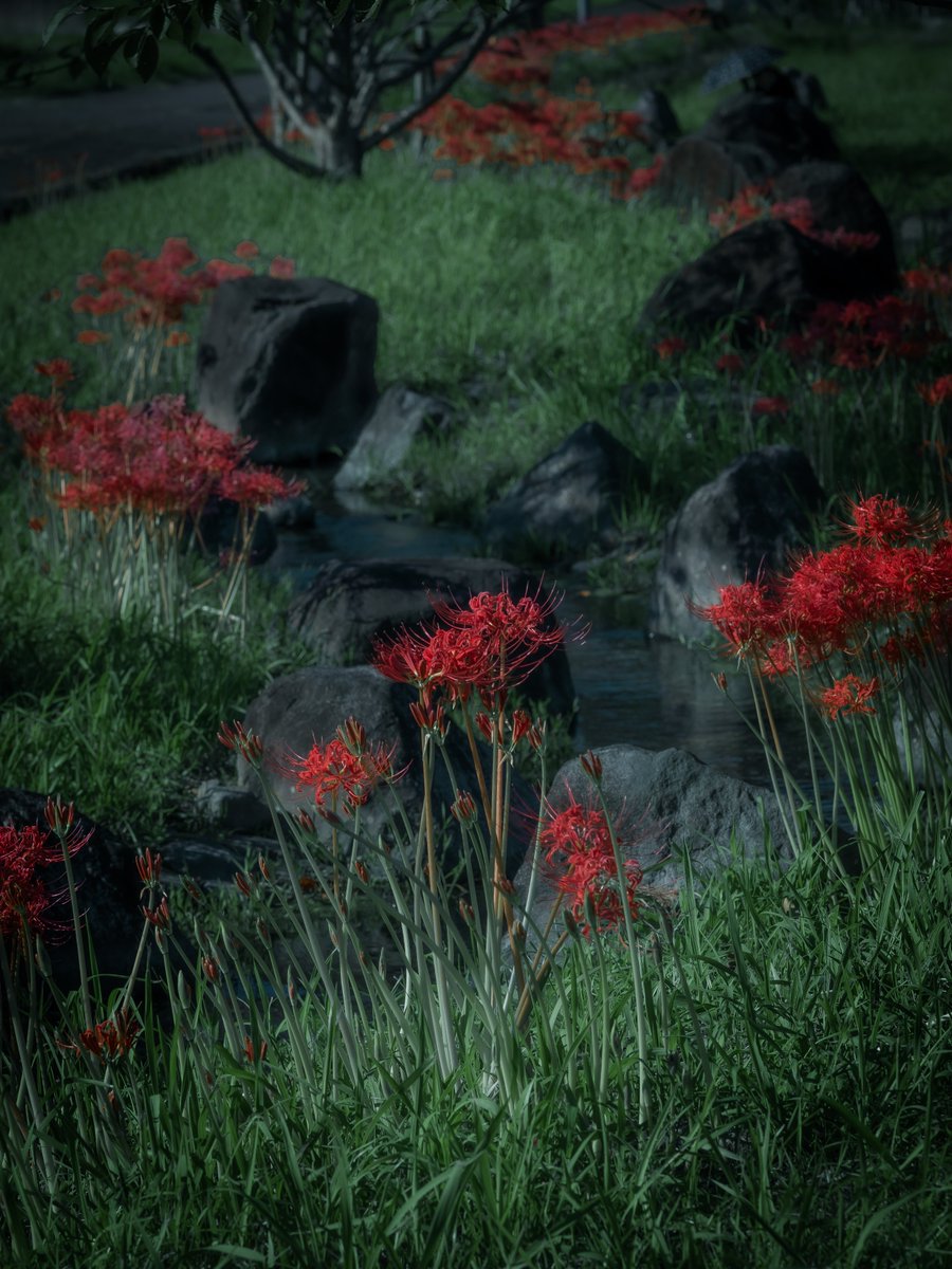 takuPT's tweet photo. m.zuiko 75mm f1.8凄くいいなぁ https://t.co/8gH63ZXwmL