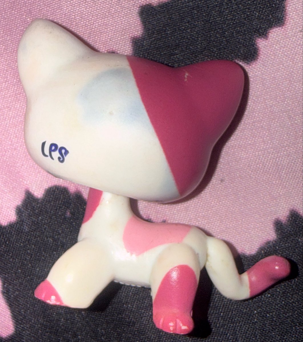 rbf90229's tweet photo. #lps #littlestpetshop Thought she was fake for a really long time but i have been informed she may be authentic,  However she is in really bad condition. Is she too damaged to consider selling if she is authentic? https://t.co/HScgWPIzTd
