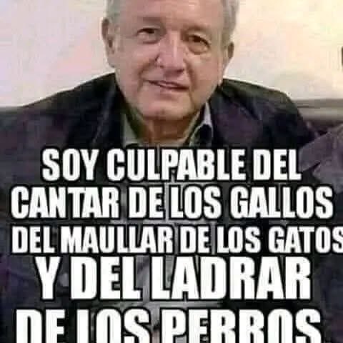 NailaCash's tweet photo. @jose_anbriz https://t.co/ulkHbgo4ZY