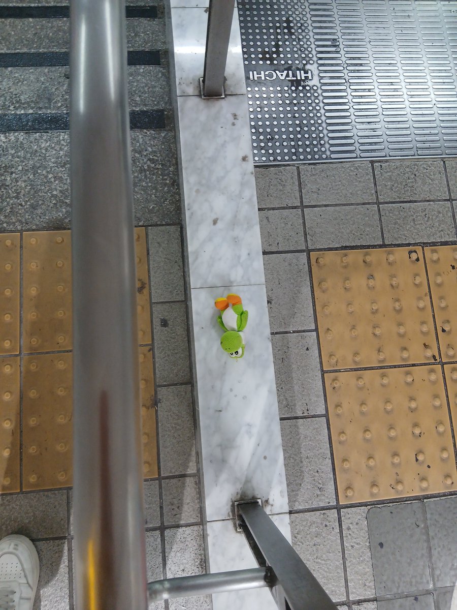 satobow33's tweet photo. 博多駅の中央改札、ミニエスカレーターの所でヨッシーが仰向けに寝てた（➰〰➰）ﾉ
主はもう博多にはいないだろうなぁ…
多分寝坊して置いて行かれたんやね…ꉂ🤣𐤔
(ง  ˙ᵕ˙ )╯ﾊｯｶｯﾀｯ https://t.co/nJo8DbPmHA