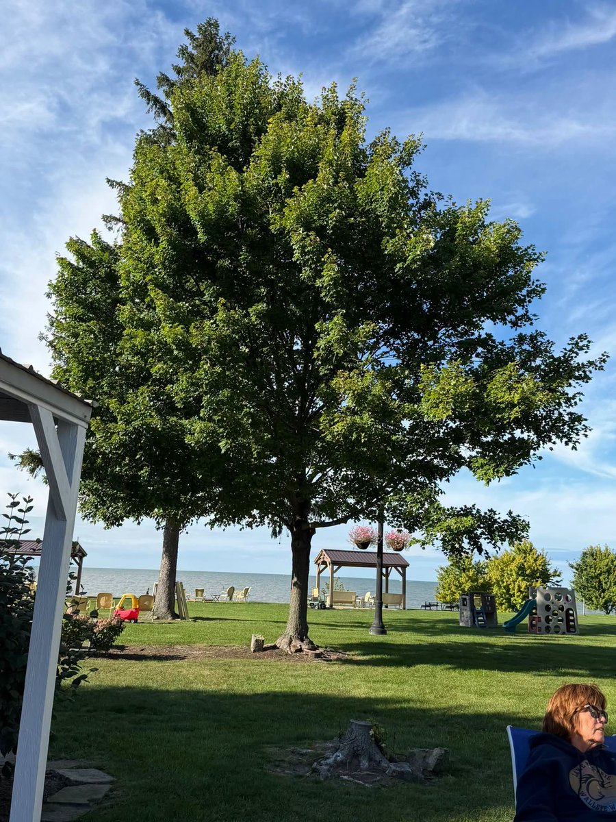 wwiaf's tweet photo. Hero’s from NH, WI, OH, AL, MO all arrived safely on Friday to Vermilion, OH for the Inaugural Lake Erie Walleye Warriors Fishing event. Everyone is excited to explore the waters of Lake Erie and have a good weekend.
#WWIA #FlashbackFriday #HonorConnectHeal #Sports4Vets #WoundedWarriorsInAction