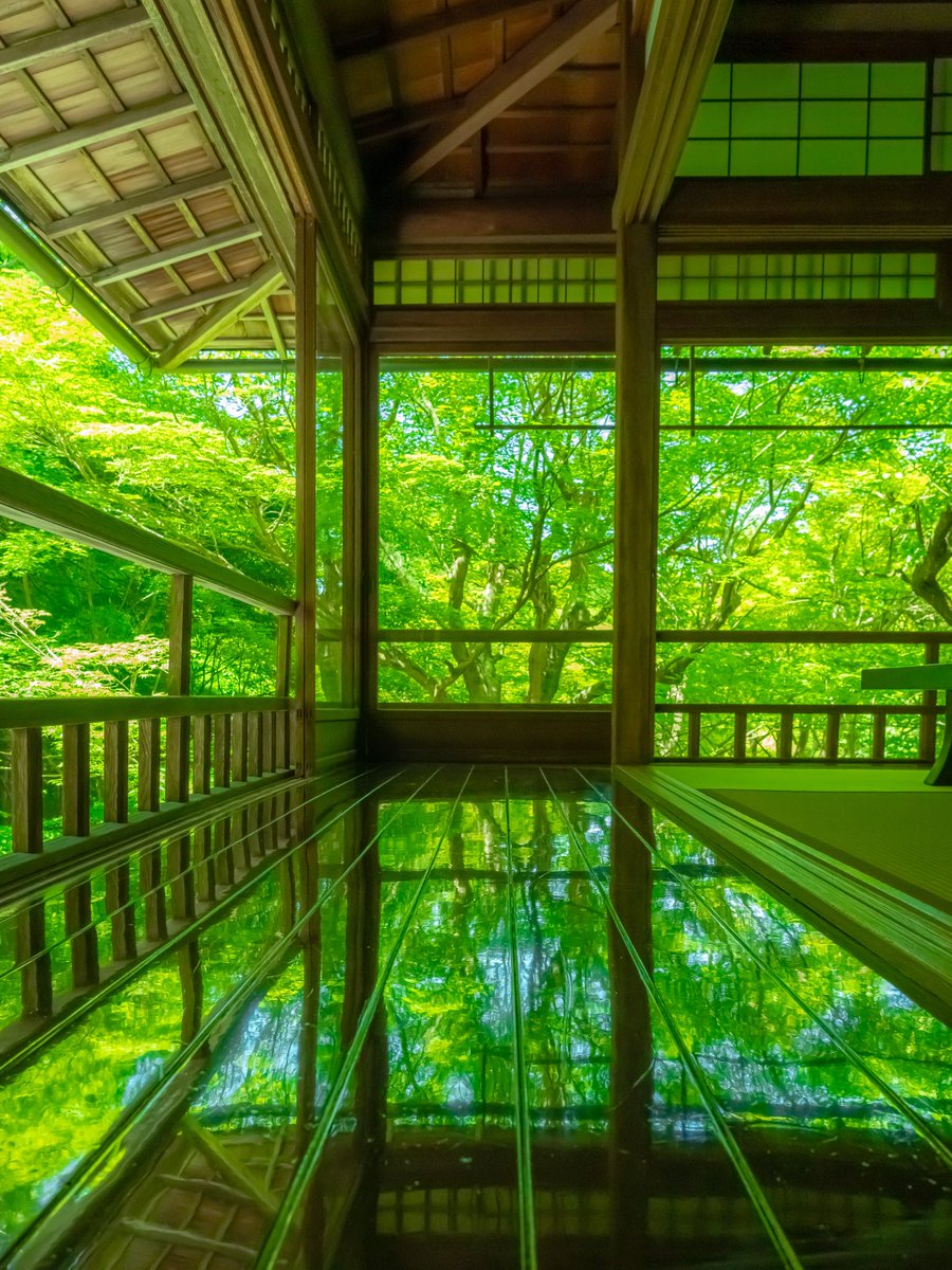 zw5150's tweet photo. 新緑の鏡床🍃

本日も素敵な一日をお過ごしください😊
#瑠璃光院
#京都 https://t.co/wG1omsYVem