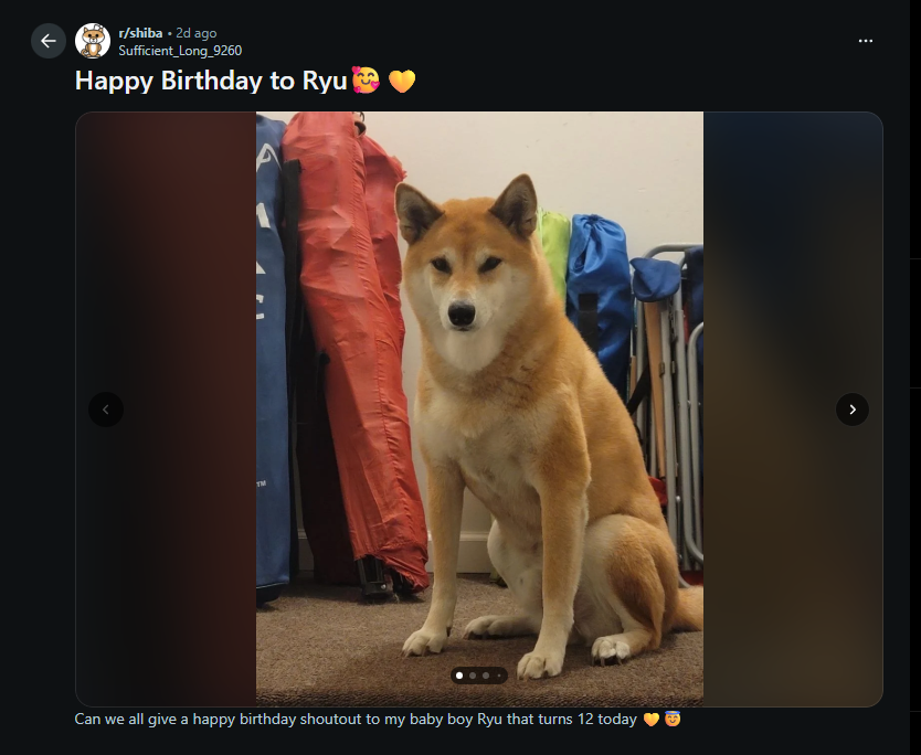 ashthequant's tweet photo. This dog named "Ryu" is going viral af for being jacked af on Reddit this morning

Many people are now memeing him calling him a Giga Inu and other jacked up terms

We've been in a Shiba Inu meta this morning and we've now been given a new fresh meme to send

https://t.co/2C5inCI6cD