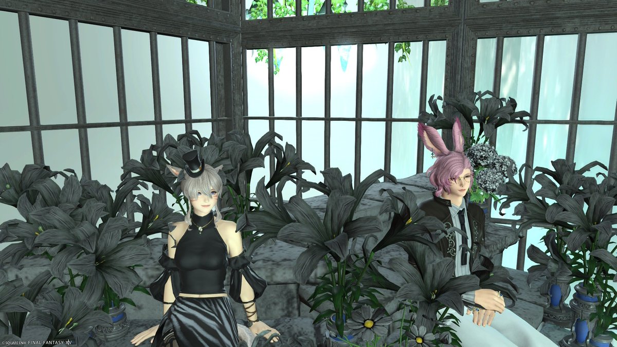 Cesia_ff14's tweet photo. おはようございます⸜(* ॑  ॑* )⸝

昨日は行ってみたかったスタジオへ
SS撮影に行ってきました😊
どちらも素敵なスタジオ様でした✨

せっかくの連休も朝から☔️ですが
今日も1日楽しく過ごしましょー(*´꒳`*)

#MossHousing
#Eno_studio
#FF14 https://t.co/1Mv46Ehz2l