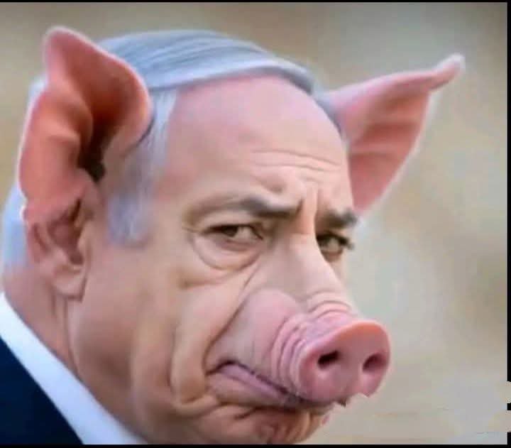 DelonWass's tweet photo. @Javaz_Bram4 @wahhabicc_jabar Wahabi syaithan isinya adalah zionis yang tak pernah sekalipun mengutuk kejahatan teroris Zionis Israel laknatullah yang saat ini sedang membantai umat islam Palestina di tanah palestina 😎 https://t.co/gQNkXUq8IQ