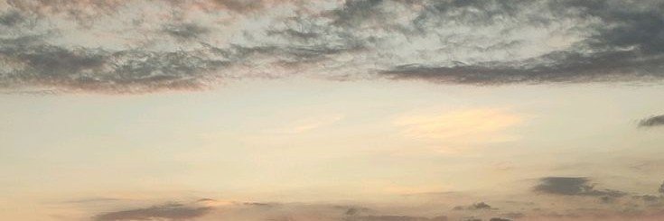 pentagram365's tweet photo. 🤍🌸 https://t.co/AWTHDu8s5W