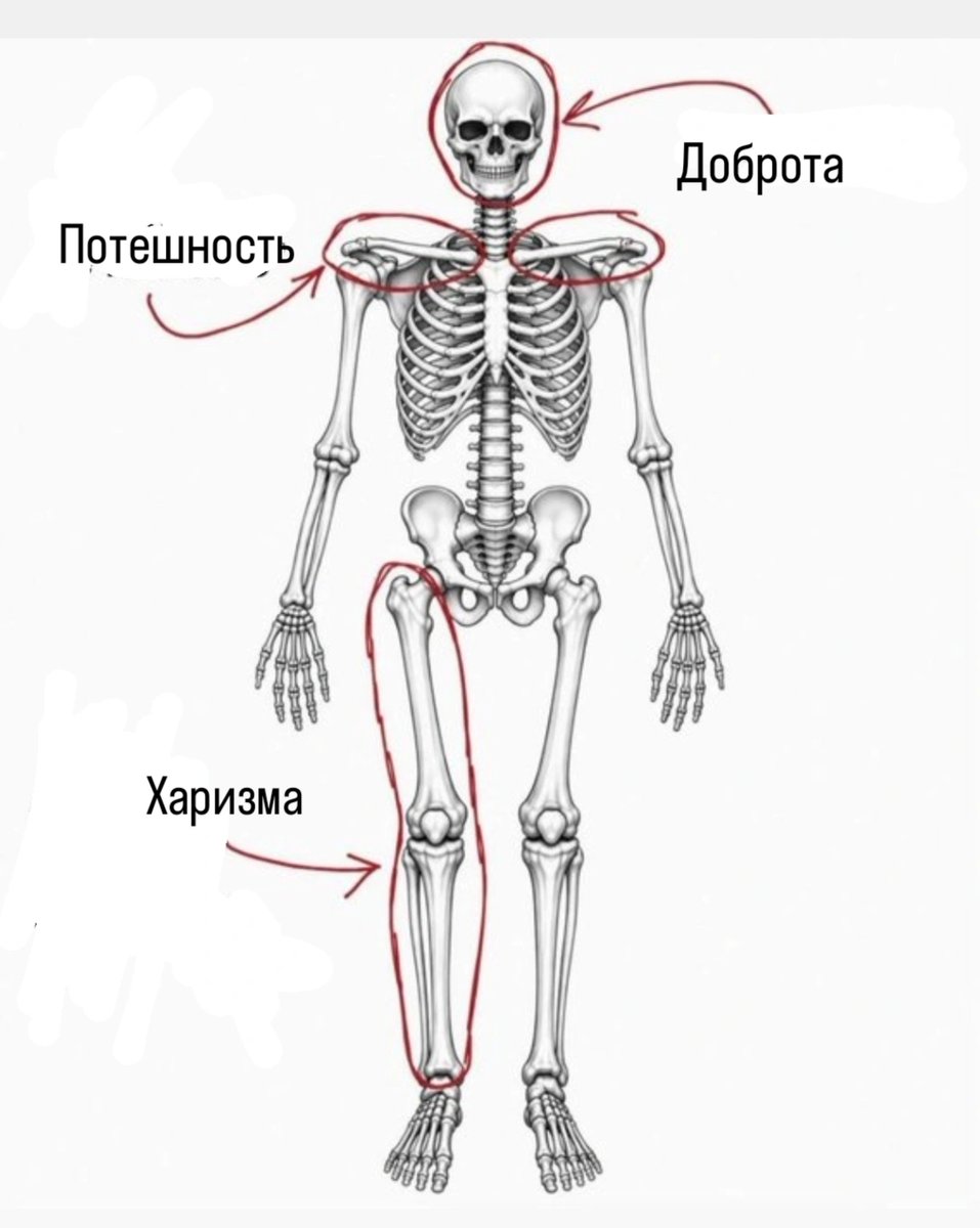 celomudr's tweet photo. @daihaminkey Последний раз объясняю https://t.co/YGTQFsiT4r
