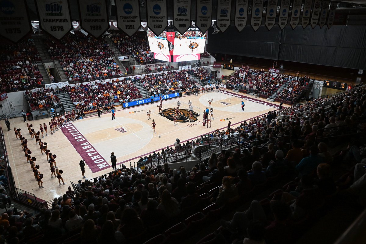 UMGRIZZLIES's tweet photo. Last year, you helped @MontanaGrizVB set an attendance record. Let's do it again on Tuesday, and help Montana maintain possession of the Main Line Trophy!

🏐 Tuesday at 7 p.m.
👕 Free shirts for first 500 fans
🎟️ https://t.co/9CfCx6Gldf https://t.co/Tn4GKN1iav
