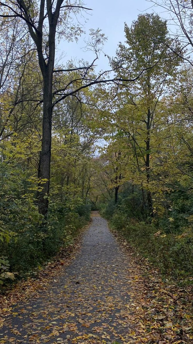 elemmiressoul's tweet photo. fall road. https://t.co/OANhz2tJLA