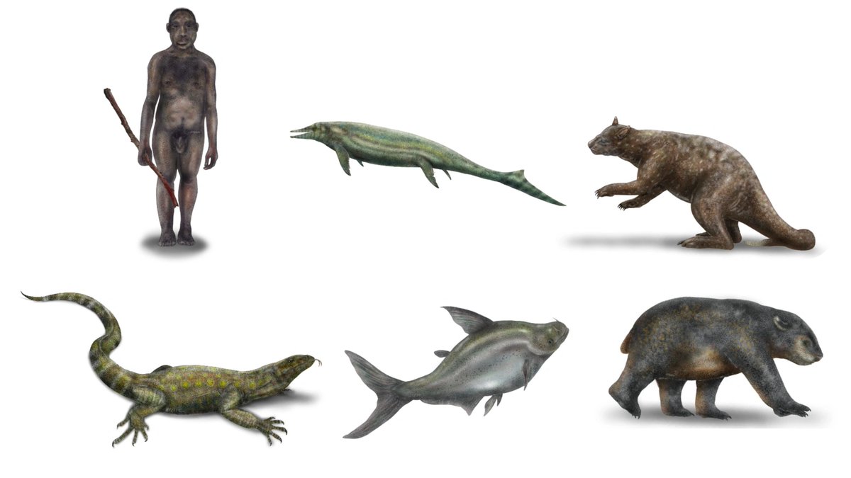 fzlim__'s tweet photo. I'm paleoartist 🦖🦕🦤 https://t.co/FZKcVXCoD9