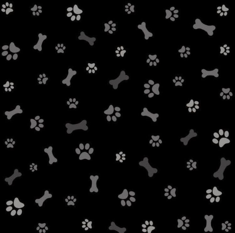 starcnnc's tweet photo. intro!! ~~~

hai im star :3

-nsfw/sfw 

-im viet

-i play val, roblox, ow, etc

-i want more friends!

-im a very silly puppy

#nsfw #puppygirl
#val #roblox #lfg #esex #moots #ow https://t.co/8NaxmkWF0j