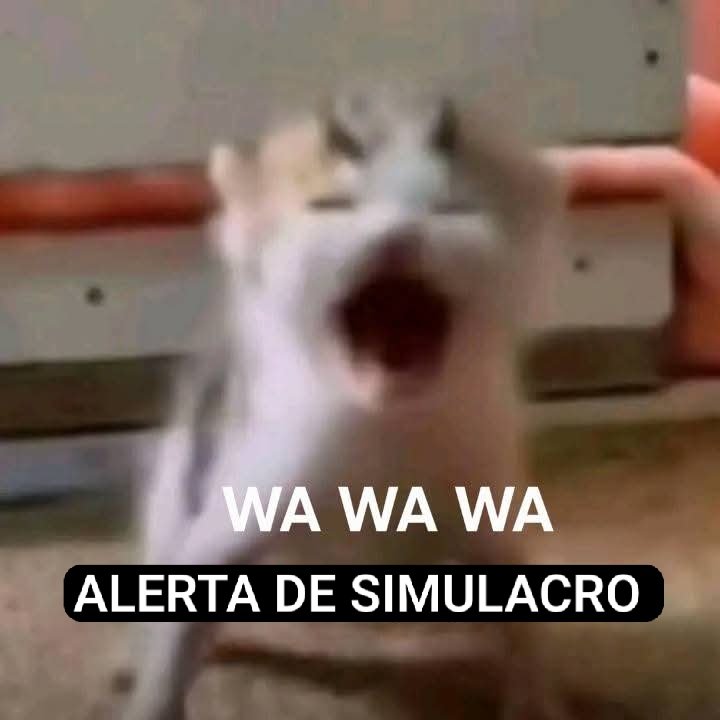 GameZhor's tweet photo. @Solmenedear chat gpt cuando es la 23173126 vez de la semana que le hablas de el (recien es lunes)

jkasdjkdasjksd https://t.co/oSwGi1L43h