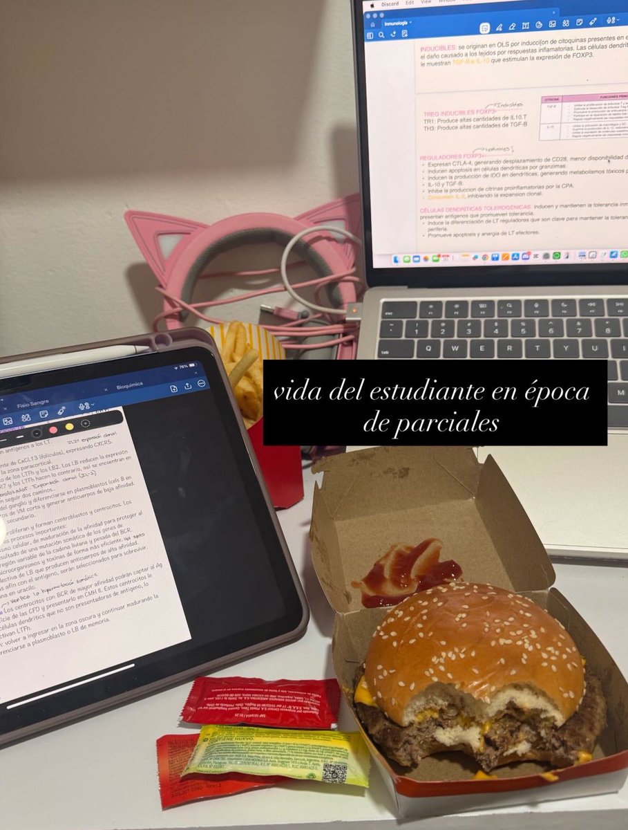 riastudyingmed's tweet photo. la real vida del estudiante https://t.co/CTs9xg0Shx