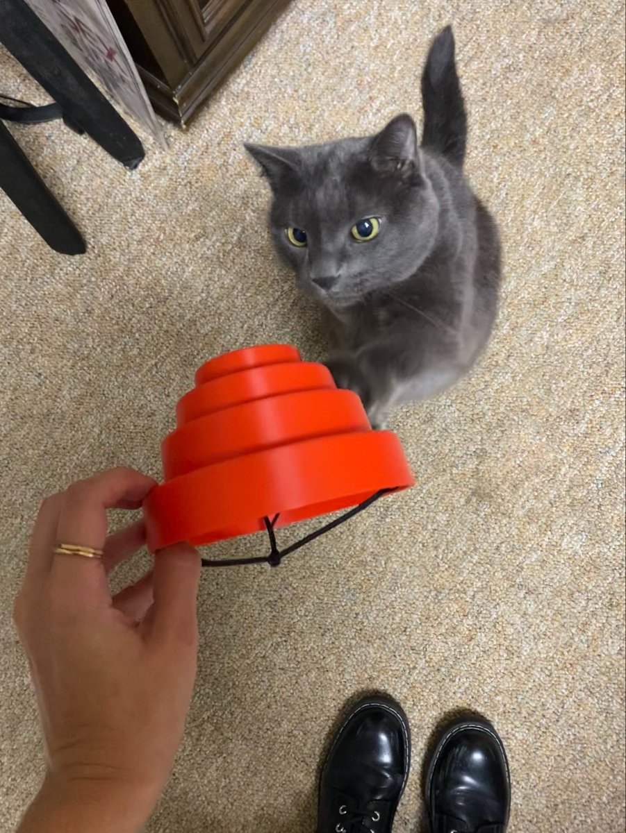 lacroixupdates's tweet photo. He’s so mad he cant go to the Devo show tonight https://t.co/XAZwebSrMr