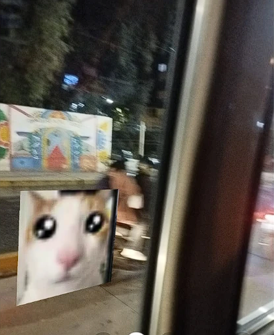 GameZhor's tweet photo. @Solmenedear y cuando este a punto de dispararte te soltara los "TOP 100 DATOS QUE NO SABIAS DE CHARDEN  (ACTUALIZADO EN 2067) 

y tu estarás en plan de: https://t.co/66cE7l47lD