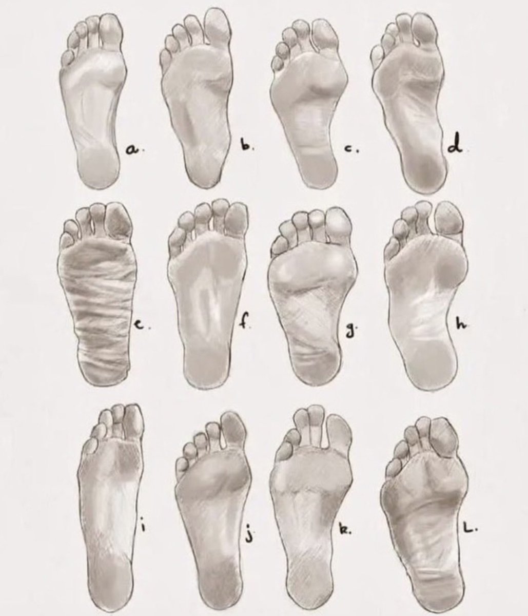 FindomBgd's tweet photo. Which foot shape from the first image matches mine the best? Are we thinking a, b, or something else? 🦶👇

#findom #cashmaster #master #feetfetısh #footfetısh  #socks #fetish https://t.co/jJx0LSwA8g