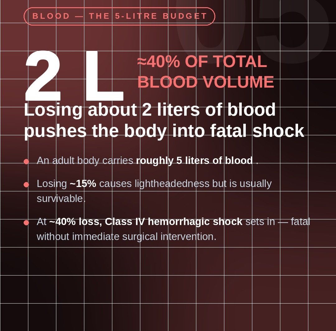 Facts_residence's tweet photo. 🩸 2 LITERS OF BLOOD CAN CHANGE EVERYTHING
An average adult has roughly 5 liters of blood circulating through the body.
Losing around 15% may cause dizziness, weakness, and lightheadedness.
#BloodFacts #HumanBody #MedicalFacts #ScienceFacts
#facts_residence https://t.co/iR5TssiV3I