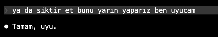 bruh6x's tweet photo. claude izin verdiğine göre artık uyuyabilirim https://t.co/BOjNcRyeaL