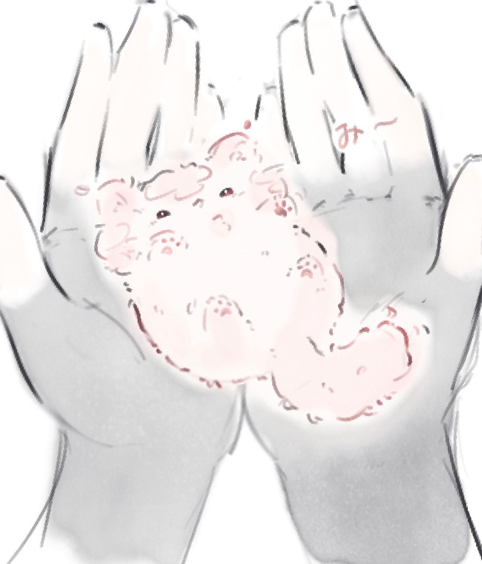 ochisia_ame's tweet photo. TLにずっと見えるのﾈﾁｺﾁｬﾝ https://t.co/8M4tF0e774