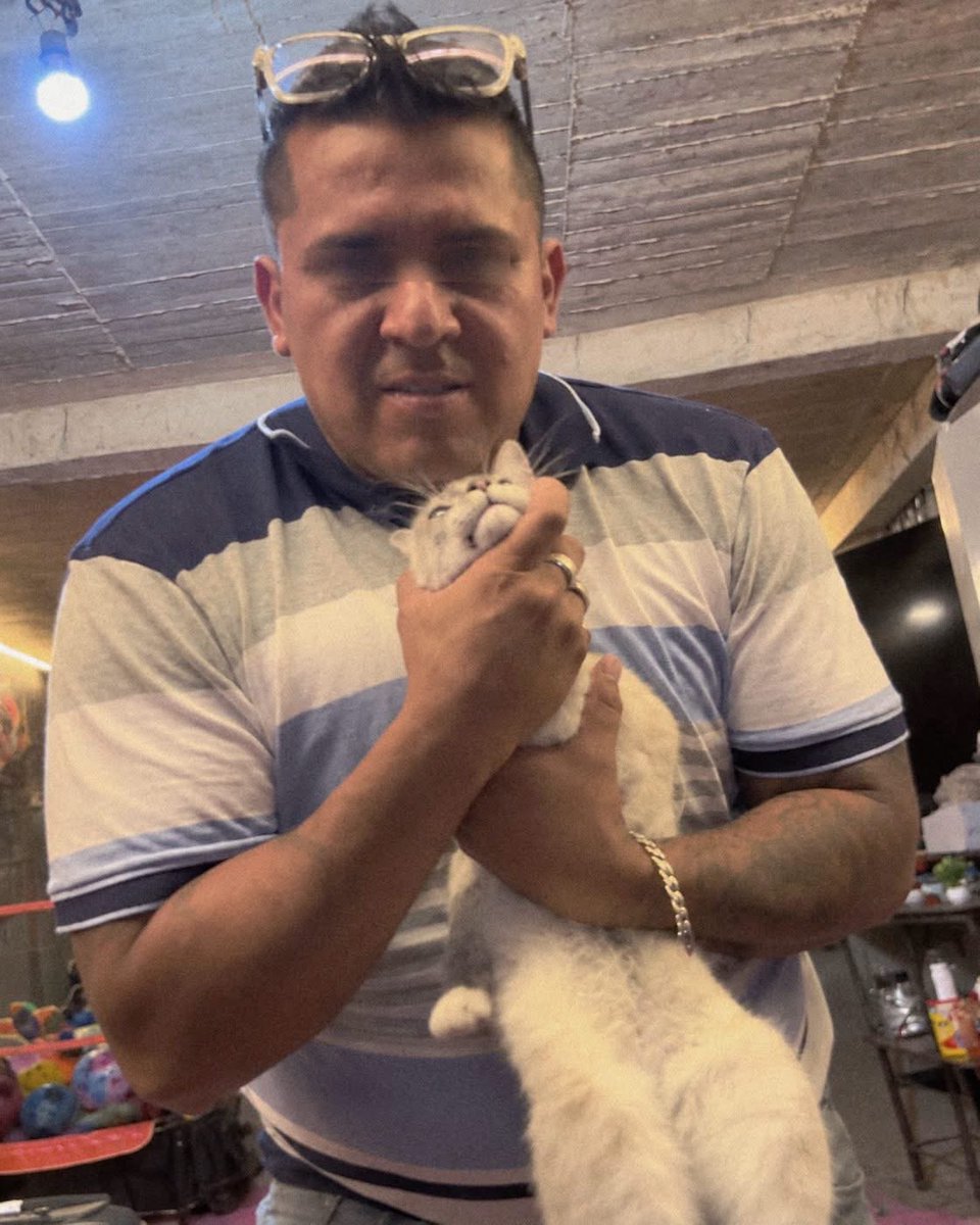 PYvonne74's tweet photo. Alimaña t0rtur4 y somete a gatos, video gráfico👇 
🙏Voz para dar con él y que caiga al bote
Esta publicación es con fines de crear conciencia social y apoyo a la autoridad competente https://t.co/QxxIPicwvY
