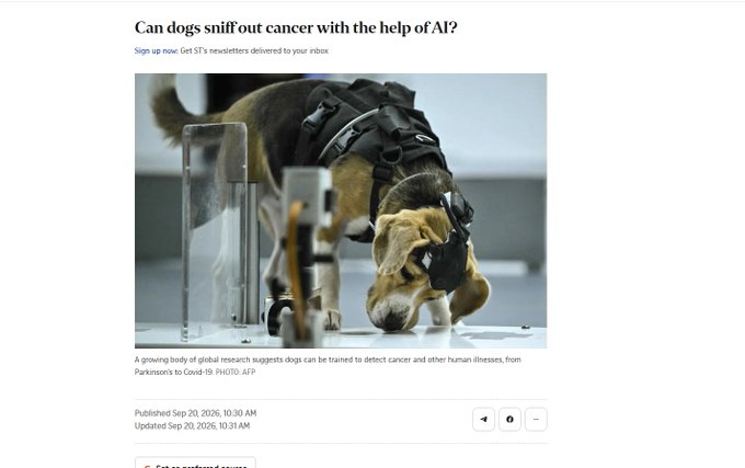 ashthequant's tweet photo. This Dog Literally Sniffs Cancer using AI?

Chloe is a 4 year rescue dog and is part of experimental efforts to use dogs’ extraordinary sense of smell to develop a non-invasive test for the disease.

A growing body of global research suggests dogs can be trained to detect cancer and other human illnesses, from Parkinson’s to Covid-19.

This dog is literally Fitted with a Special device that uses Claude and a helmet to help patients who maybe have illnesses sniff them out and confirm or deny

THIS COULD TURN OUT TO BE A HUGE NARRATIVE

Chloe could lead the pack in Animals helping humans with the worst diseases and even find a cure

There are so many articles being posted about chloe

https://t.co/LYtqHmDiRT

https://t.co/6f8wt5QRYY

https://t.co/kplMTM2Mdn