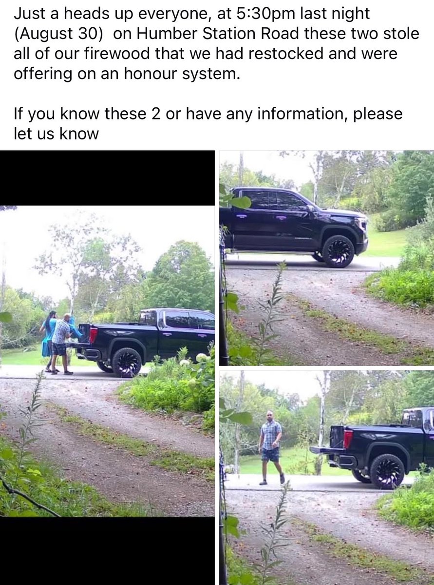 bears_aware's tweet photo. Caledon, Ontario:
These two stole all the bags of firewood available for sale roadside for the second time in less than a month.
They have enough money for a +$100k Denali pickup but would rather steal than pay people for their hard work.
Make them famous, these people are turning Canada into a low trust society.