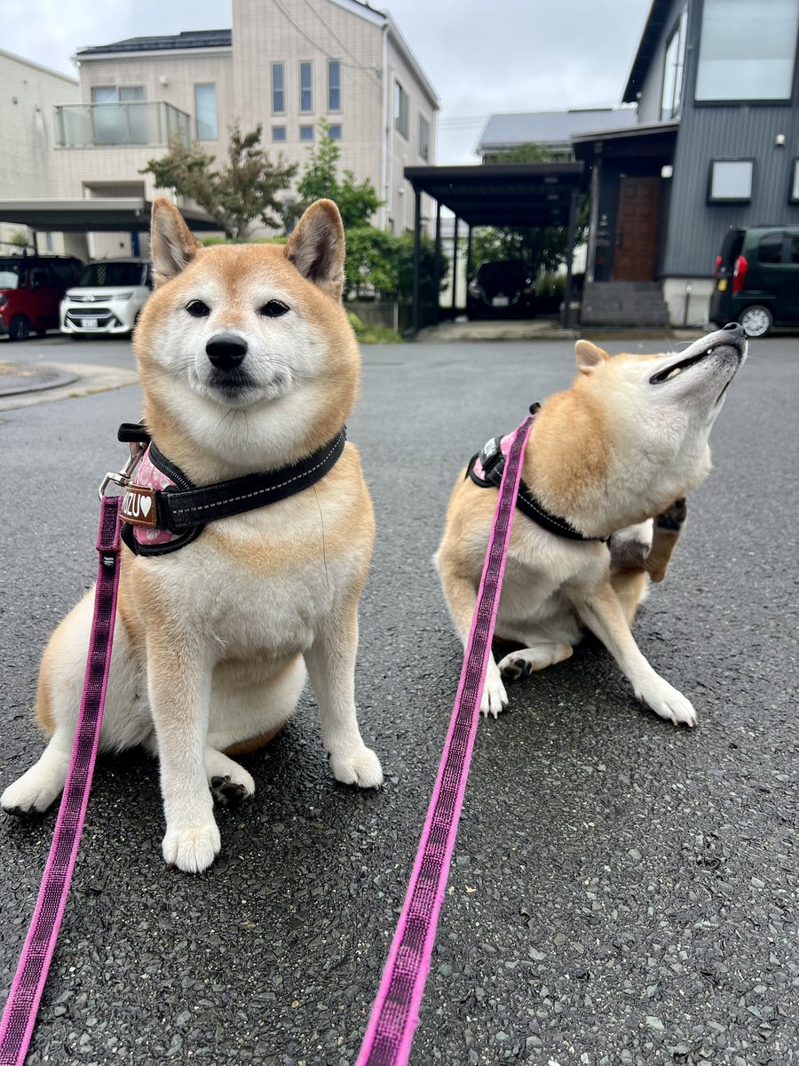 jajagi7jajagi's tweet photo. おはようございます☂️
今日も良い一日を https://t.co/xQjEKhuD6l