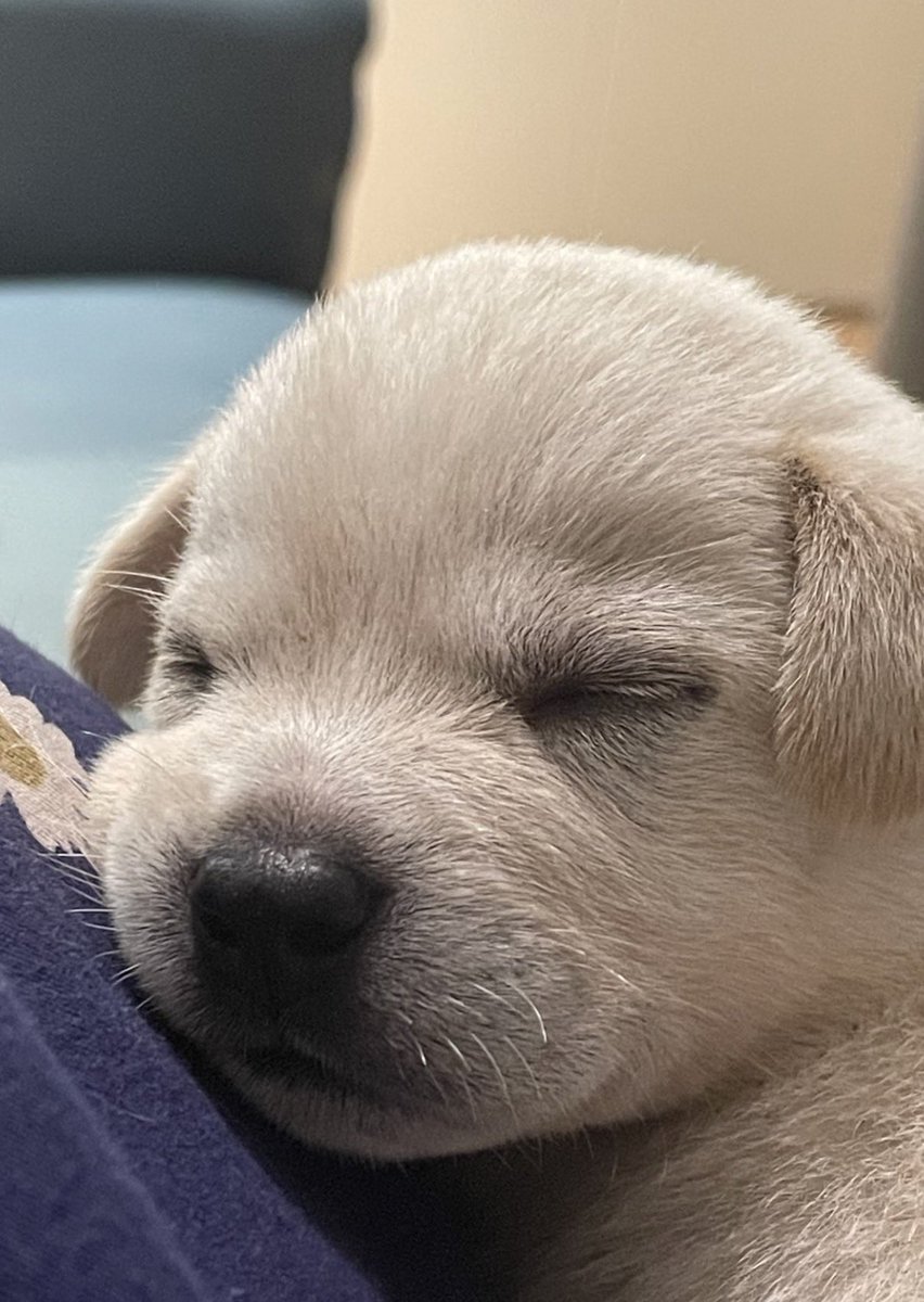 twaniimals's tweet photo. https://t.co/TCr6UzrCmo