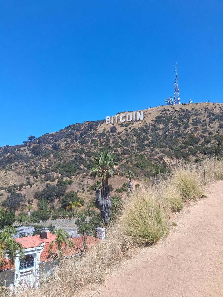 BTCXMR6's tweet photo. There will be signs #Bitcoin 🌞🤲🏽 https://t.co/DzwWCiFbON