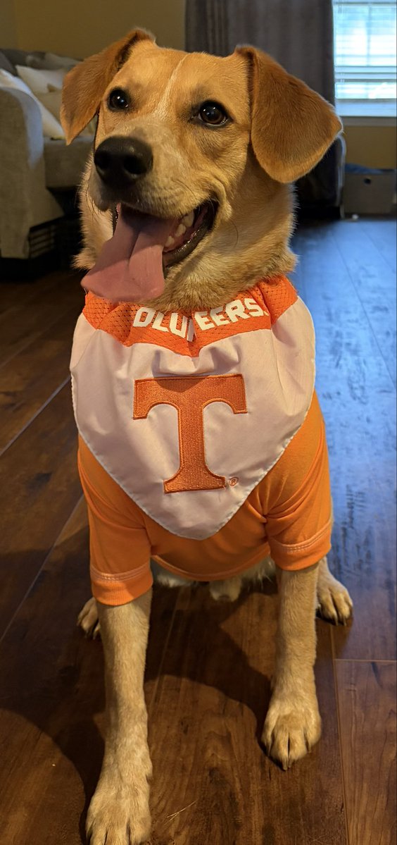 RodneyC55428644's tweet photo. @allthedogspleaz Koda says hello https://t.co/ZvzW7pCr1N