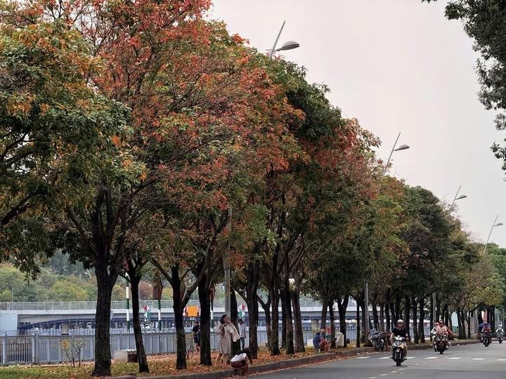 Uegeb3's tweet photo. Gm cả nhà🌞🌞🌄

Từ ngày bắt đầu đi làm,tham gia vào thị trường lao động này em đã học được cách ngủ trễ dậy sớm,không biêta có phải tín hiệu tốt không?

Chứ ngày nào cũng như ngày nào cứ 5h30 là dậy,vận động cơ thể 1 xíu,đánh răng rửa mặt vào makeup nhẹ rồi lại lên đường đi làm.

Cuộc sống vẫn trôi quá như mọi ngày,chỉ có thêm việc hằng ngày lên đây để viết bài chia sẻ với mng,một thói quen mới tốt hơn💪💪

Chúc mọi người đầu tuần vui vẻ tràn năng lượng để kiếm tiền nha