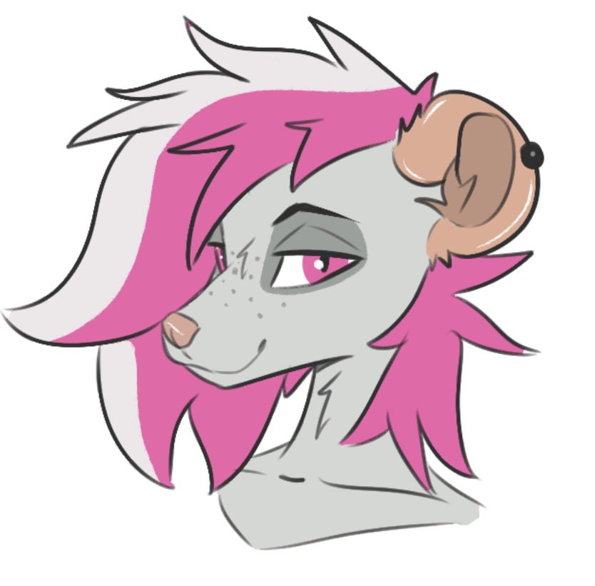 Purp1eRain_'s tweet photo. @_ConHugo_ This is rat. They have 8 nipples because they're a rat and because I didn't want them to have 10 https://t.co/XnymWj6JHM