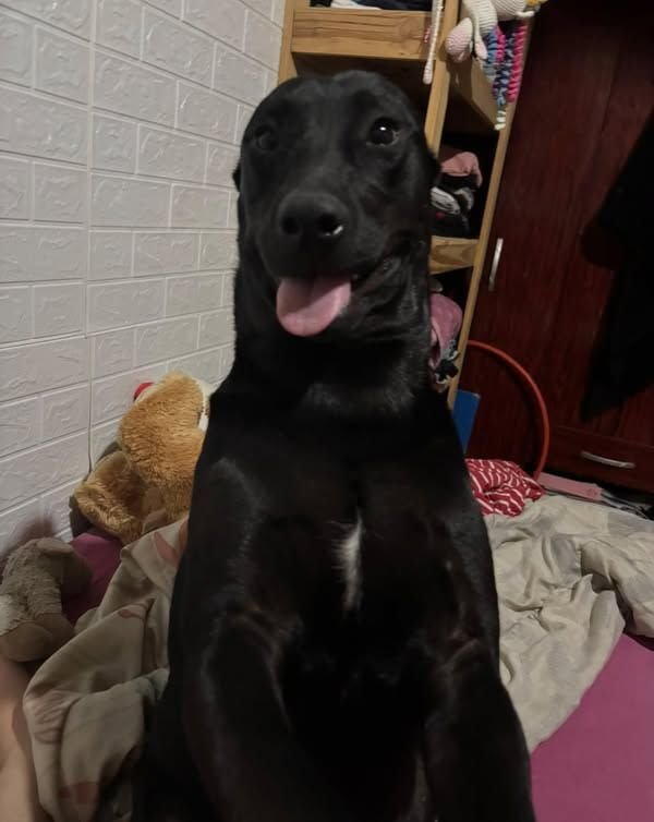 snoopdoggyskr's tweet photo. se puede ser mas imbecil https://t.co/nbTB6iJrWz