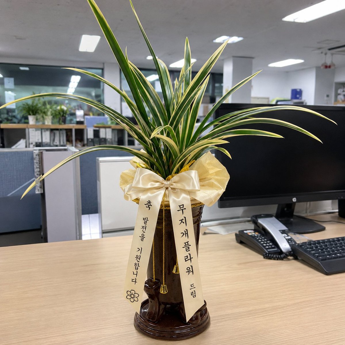 03anwlro's tweet photo. 결혼식 축하화환 주문방법부터 가격·문구·3단화환 선택법까지 총정리
https://t.co/Bd5NFh3cYH

장례식장 근조화환 주문방법부터 오브제·3단화환 반입 주의사항까지 총정리
https://t.co/hdlZSUeRwh https://t.co/OMO2zgjHzK