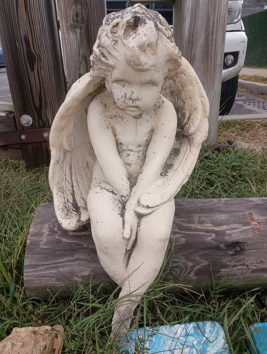 MamaMags513's tweet photo. #Jersey #shore #beach #photos #angel #statue #seagull #NJ #MJT #Atlantic #Ocean https://t.co/EjtoEuAY6r