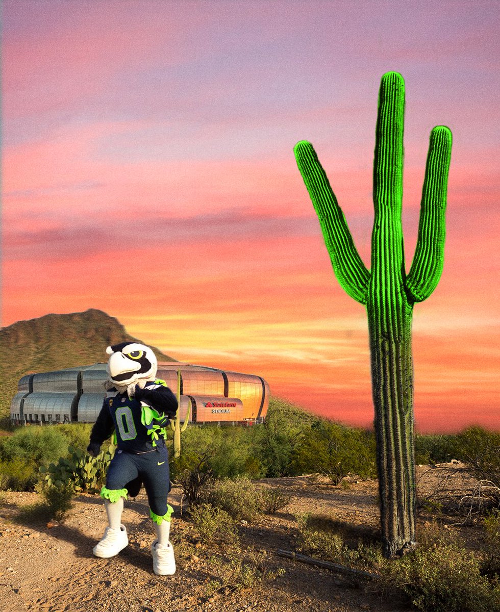 BlitzTheSeahawk's tweet photo. That’s a W in the desert! https://t.co/tEeXUilBEZ