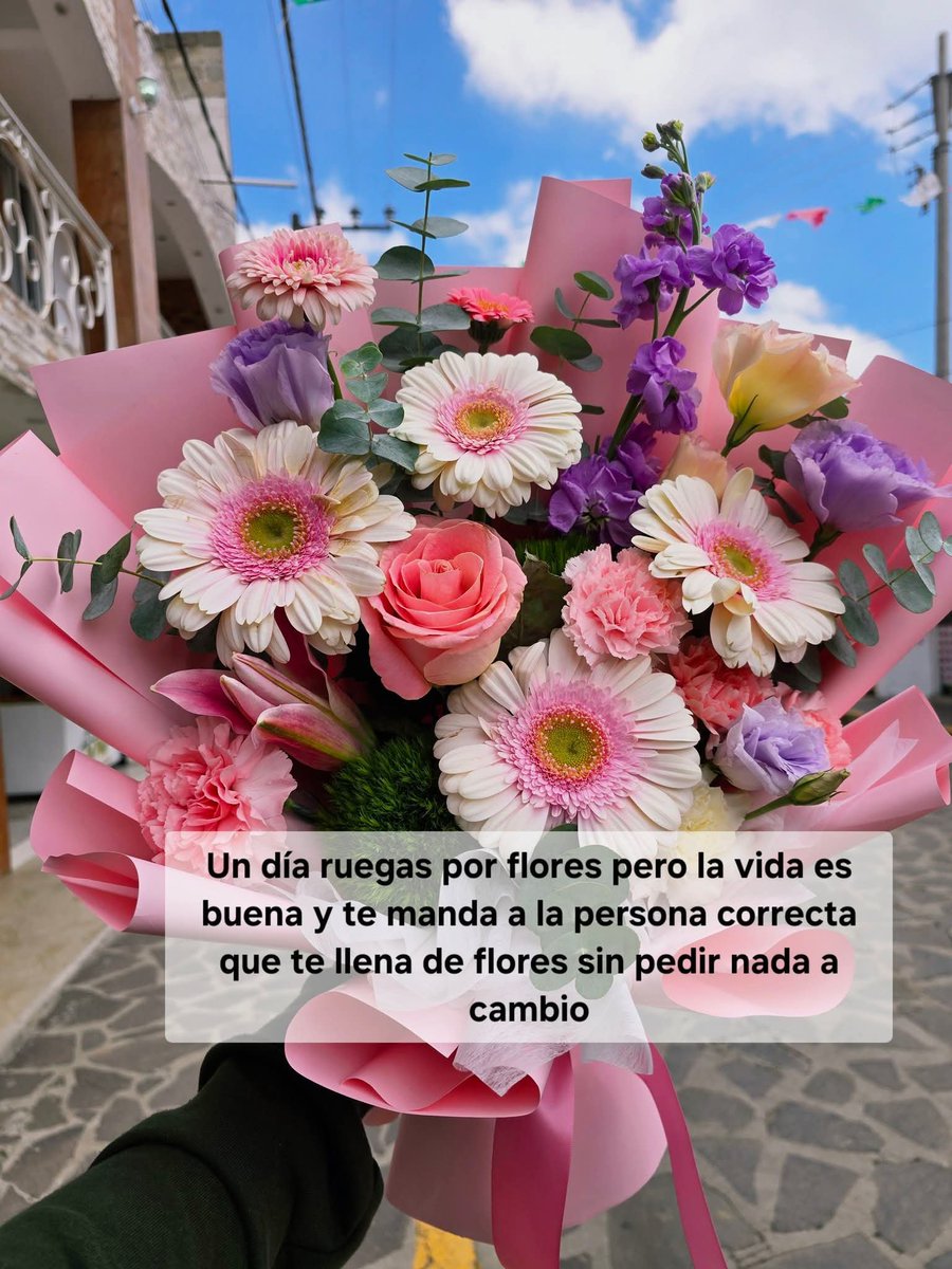 marieleins's tweet photo. Flores por existir y no por insistir https://t.co/d4KwEQYXql